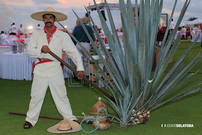 Sabor a Cabo 2012