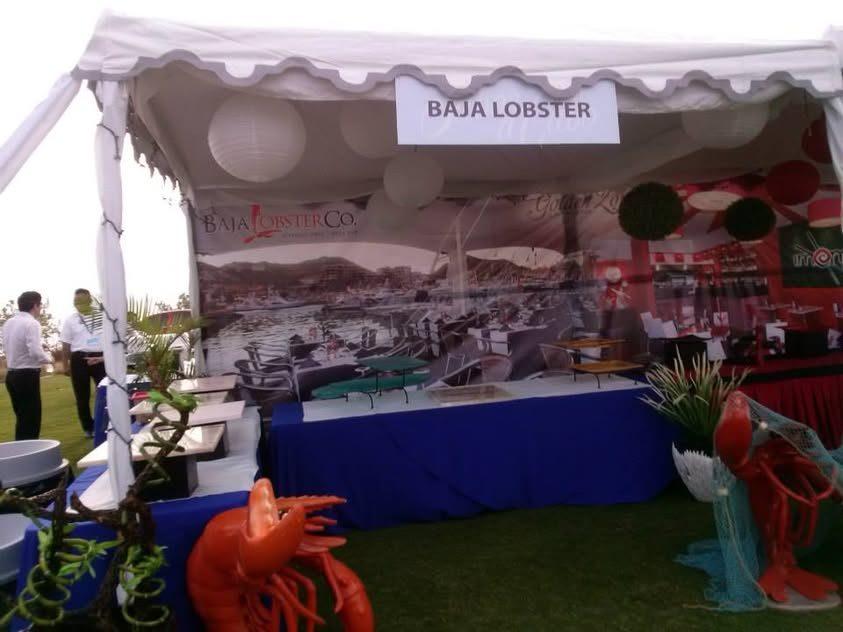 Sabor a Cabo 2013
