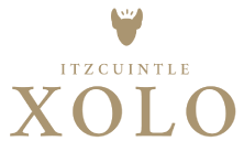 Itzcuintle Xolo